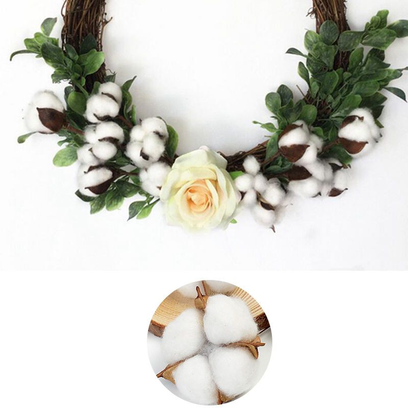 Ins White Cotton Tip Flower Preserved Fresh Flower Photo Shooting Photography Prop Decoration Cake Ornamental Branch Dried Branch Diy Accessories