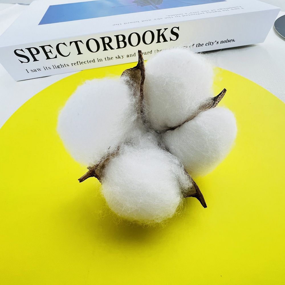 Ins White Cotton Tip Flower Preserved Fresh Flower Photo Shooting Photography Prop Decoration Cake Ornamental Branch Dried Branch Diy Accessories