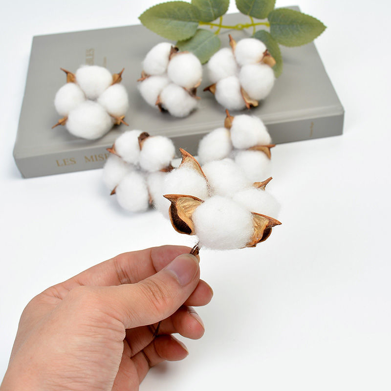 Ins White Cotton Tip Flower Preserved Fresh Flower Photo Shooting Photography Prop Decoration Cake Ornamental Branch Dried Branch Diy Accessories