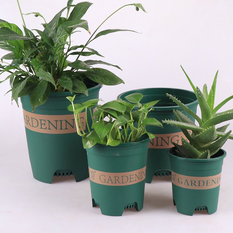 New Three-Generation Gallon Pot Thickened Plastic Creative Orchid Pot Large Rose Succulent Green Radish Household Breathable Spot