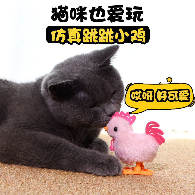 Cat Toy Automatic Funny Cat Plush Clockwork Chicken Sound Mouse Cat Pole Toy Cat Bell Ball Pet Toy