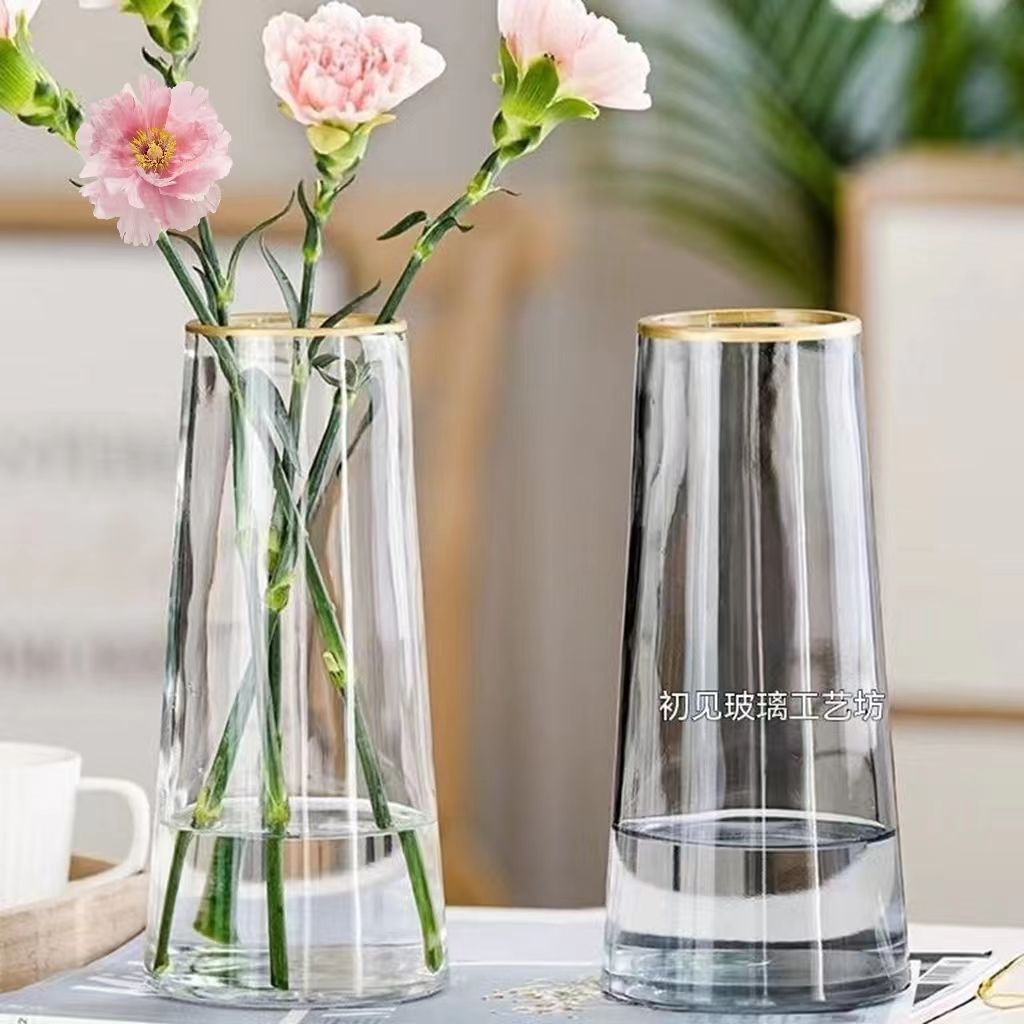 light luxury gold vase transparent glass living room home decoration nordic aquatic flower arrangement creative simple flower arrangement