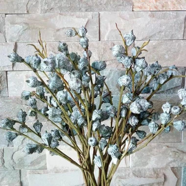 Eucalyptus Fruit Fresh Eucalyptus Fruit Eternal Life Eucalyptus Fruit Dried Flower Eucalyptus Fruit Dried Bouquet Ornaments