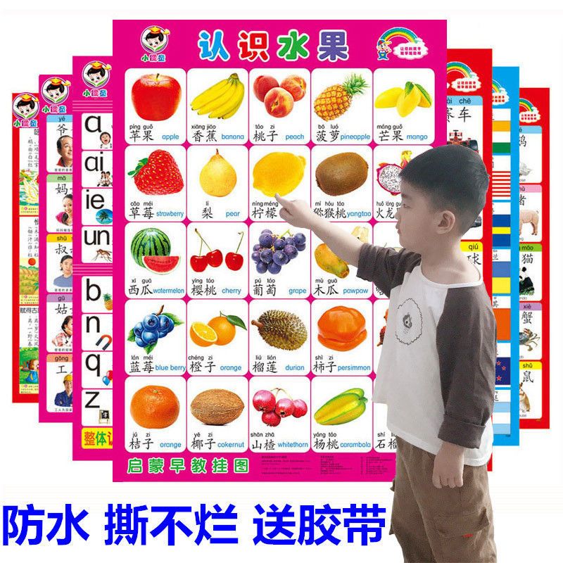 Baby Wall Chart Silent Children 0-3 Years Old Early Education Pinyin Wall Chart Cognitive Enlightenment Literacy Stickers Silent Card