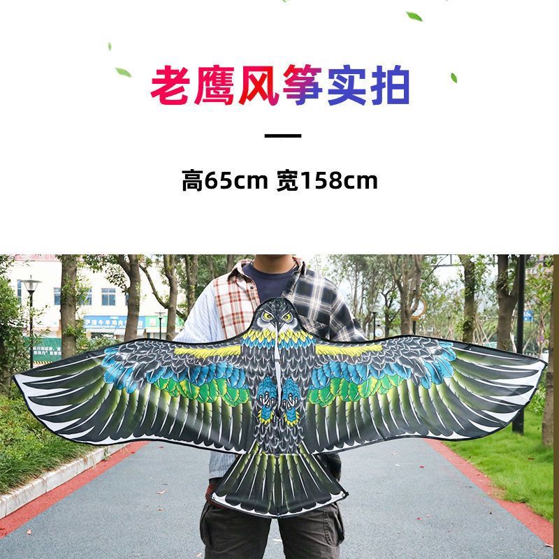 2022 New Eagle Kite for Adults Children Adult Breeze Easy to Fly Beginner High-End Large Kite