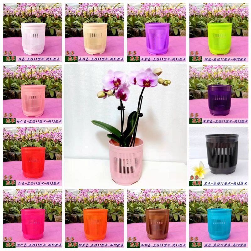 Root-Controlling Flower Pot for Phalaenopsis Dendrobium round Plastic Breathable Orchid Cattlean Water Planting Basket Rooting Pot
