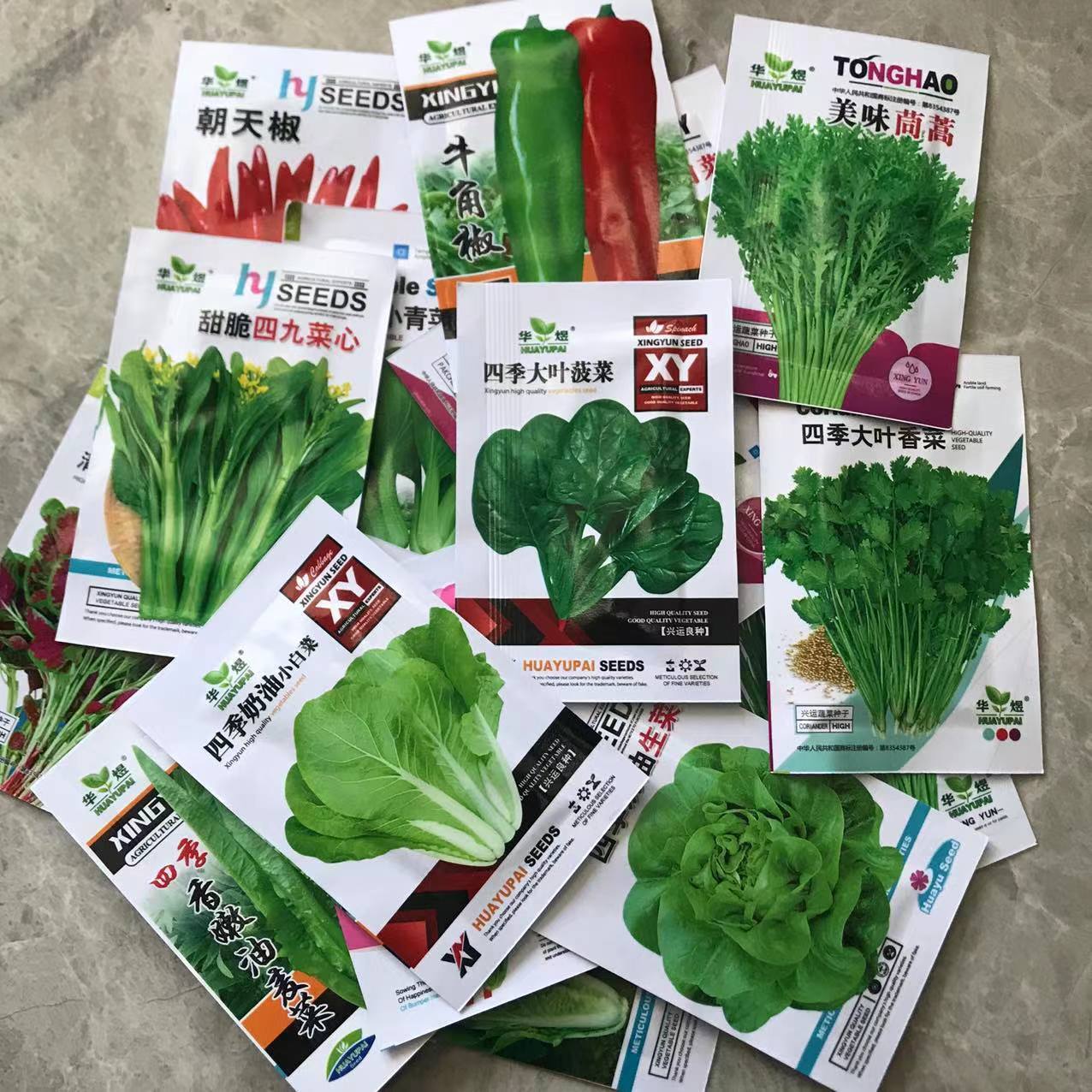 Wholesale 18 Four Seasons Vegetable Seeds Collection Autumn and Winter Balcony Bonsai Color Package Spinach Coriander Chives Green Vegetables