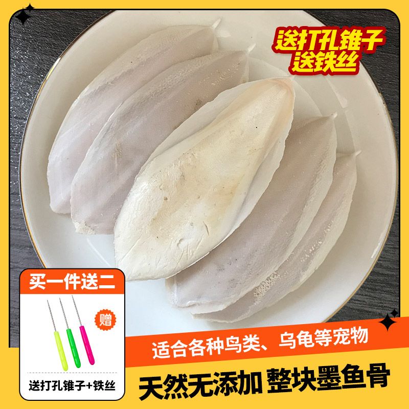 cuttlebone for birds parrot whole piece cuttle bone calcium supplement xuanfeng tiger skin peony molar supplies turtle grinding mouth hamster