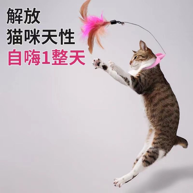 collar  teaser  toy self-hi  relieving stuffy artifact kittens bite-resistant neck sling bell feather  teaser