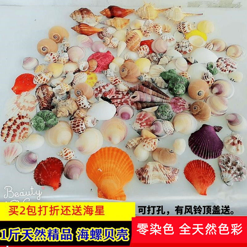 0.50kg natural conch and shell starfish hermit crab replacement punch handmade diy wind chimes drift bottle material fish tank