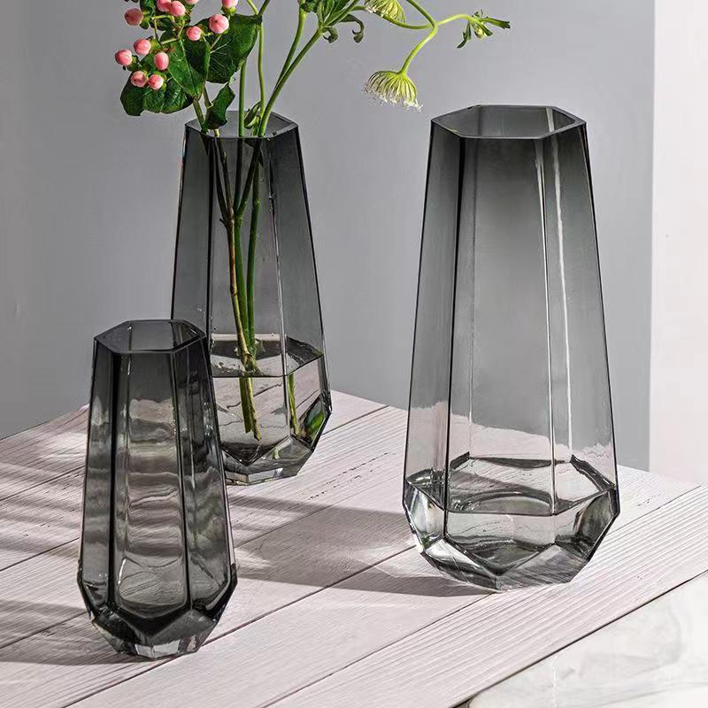 high-grade ins style light luxury small vase creative high-looking living room transparent water-nourishing flower arrangement glass vase