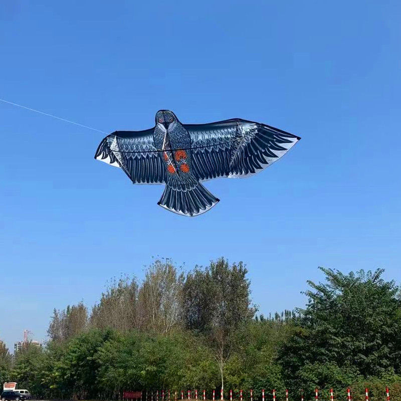 douyin same style 1.5 m 2 m front jackstay eagle kite children adult checked cloth new breeze easy to fly