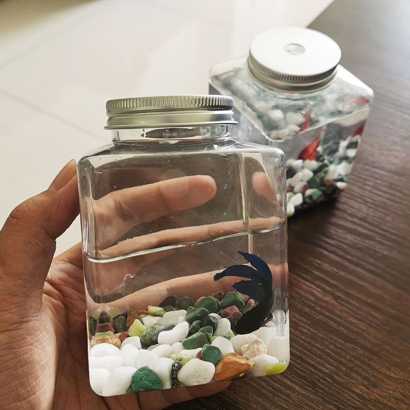 xiaohongshu internet celebrity tiktok fish jar fish canakin square bottle douyu jar luminous fish bottle fish box