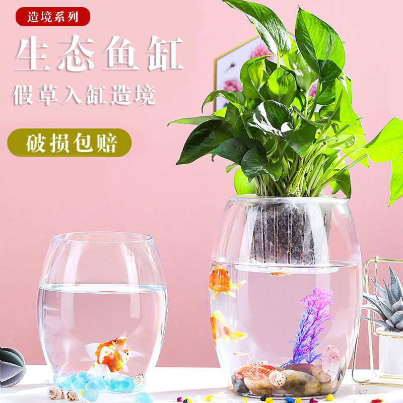 creative desktop fish tank ecological round glass fish globe turtle jar mini small landscaping home aquarium