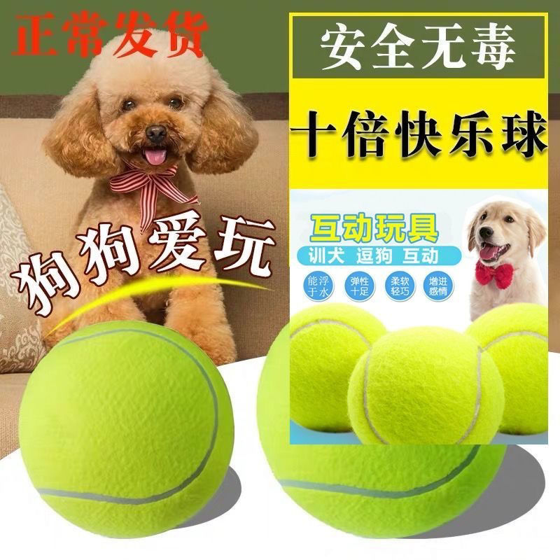 dog toy ball golden retriever teddy elastic ball bite-resistant molar tennis pet puppy labrador puppy training