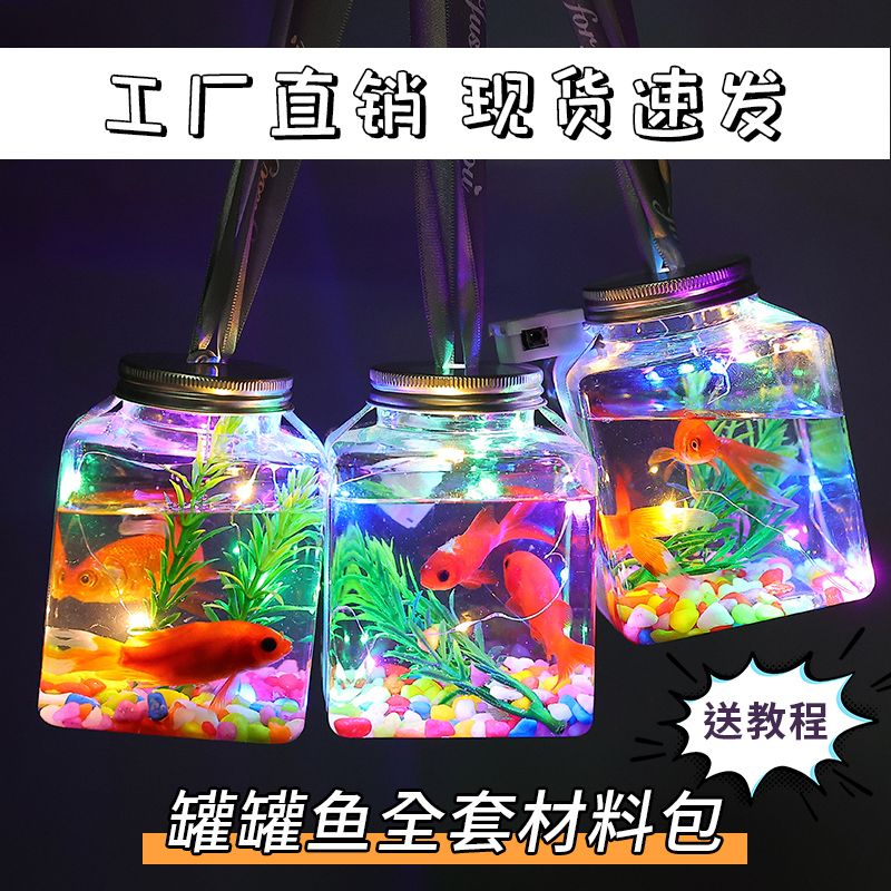 new colorful luminous cans fish wholesale night market fantastic stall machine internet celebrity square luminous portable small goldfish cans