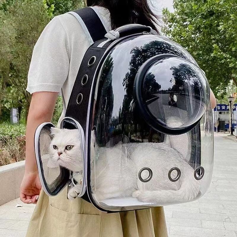internet celebrity new transparent pet space capsule backpack cat outing bag dog bag integrated outing box backpack
