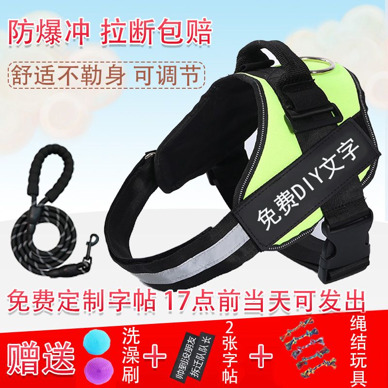 dog hand holding rope dog leash vest chest strap large， medium and small dogs chain  teddy erha labrador