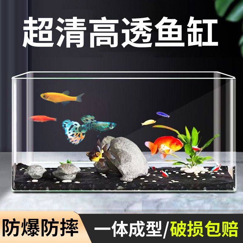 transparent turtle fish globe hot bending cylinder household desktop with lid office plastic acrylic narrow strip fish tank small