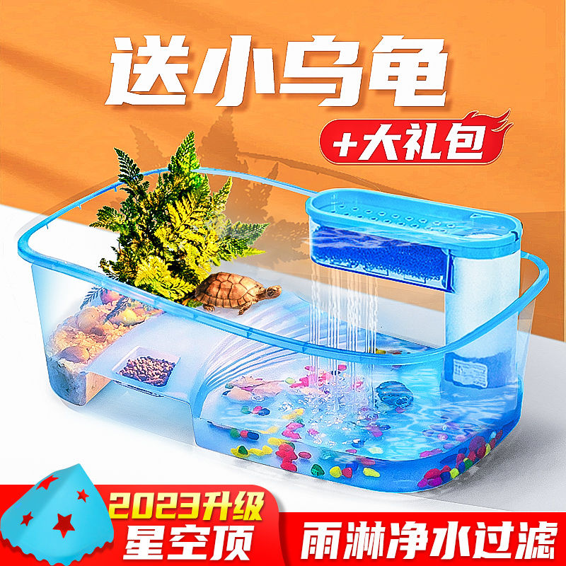 turtle jar small tortoise feeding basin box brazil provided with balcony fish tank water and land tank turtle plastic turtle raising for home use tank