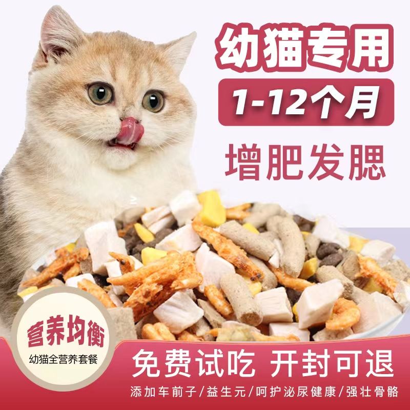 freeze-dried  food kittens milk pastry 1-12 months salmon flavor into  kittens weaning stage special natural  staple food