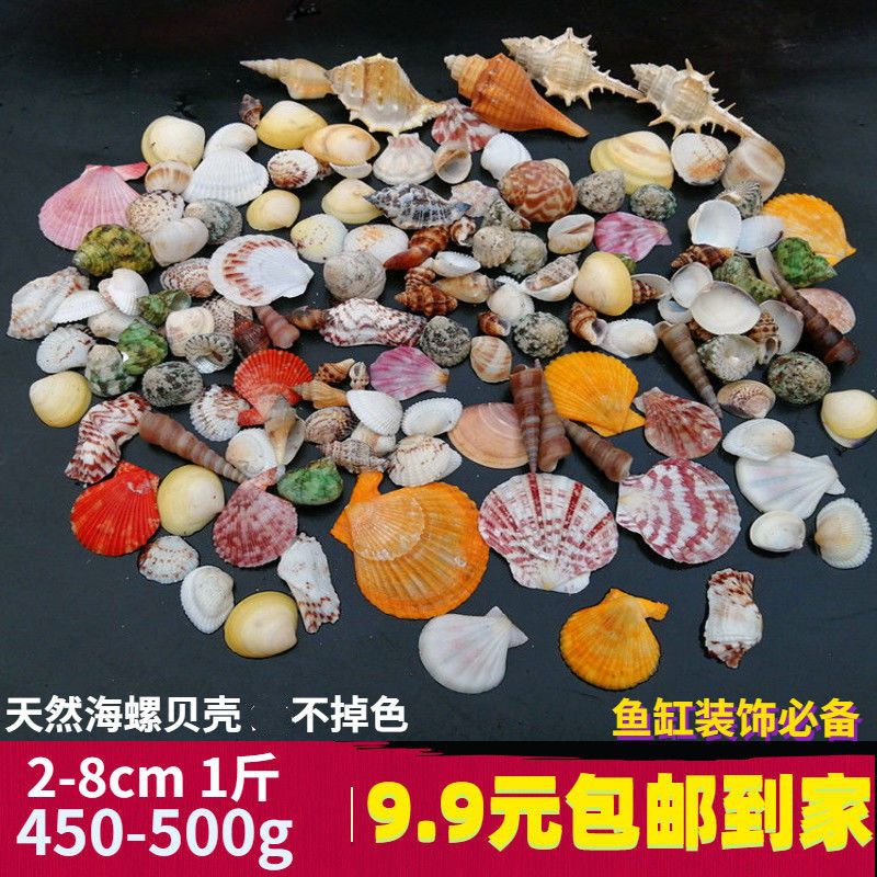 conch shell aquarium fish tank scenery decoration filter material decorations small and medium-sized ornaments