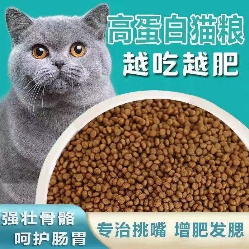 kittens adult  american shorthair blue  house  stray  nutrition fat hair chin freeze-dried wholesale general brand  food