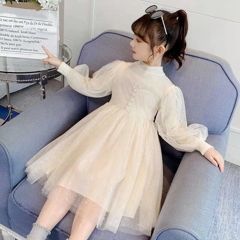 girls‘ dress autumn and winter clothing new internet celebrity fleece-lined thickened children‘s fashionable princess dress tulle tutu lace dress