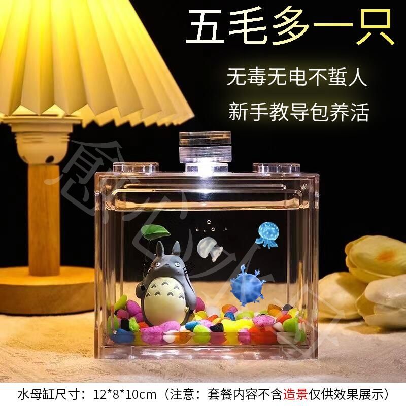 fish tank household fish tank jellyfish tank living animal pet entry desktop fish tank small household novice easy to keep durable