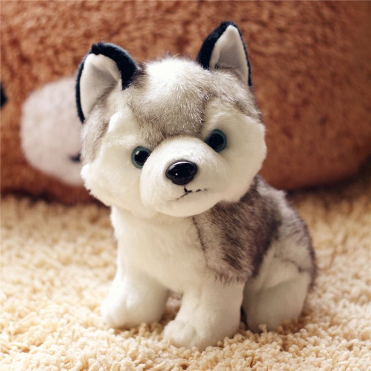 creative puppy husky birthday gift girls send children boys girlfriend girlfriends plush toy gift