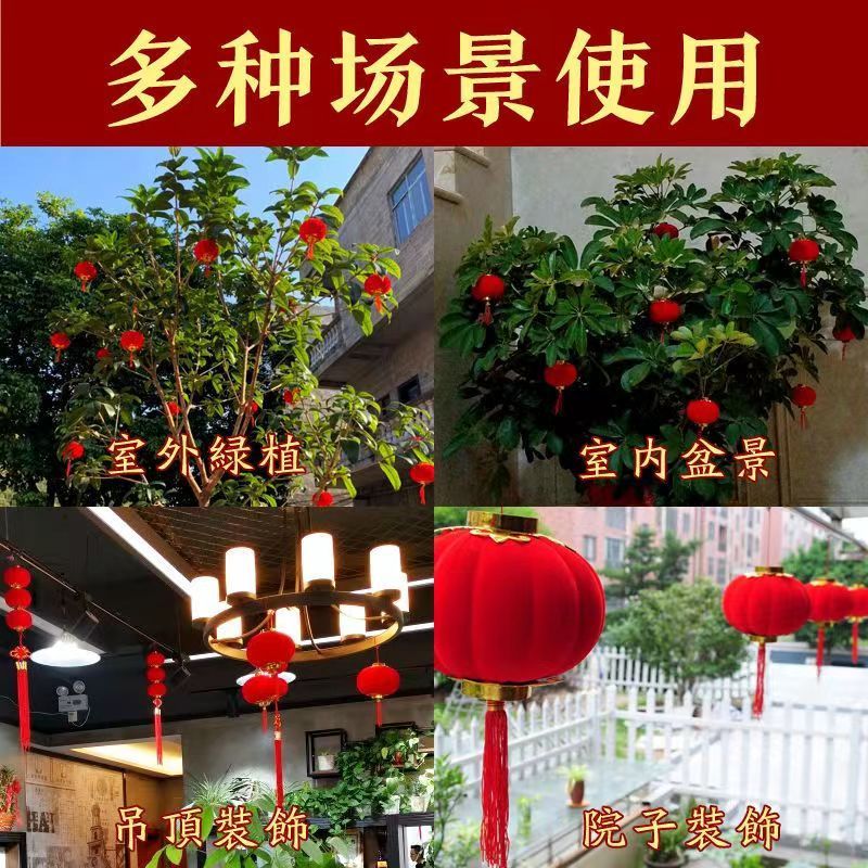 Lantern 2023 New High-End Wedding Decoration Scene Layout Small Red Lantern Flocking Pendant at the Gate