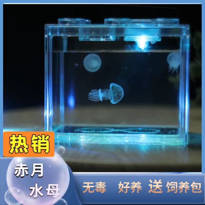 pet net red jellyfish living thing non-toxic non-electric desktop dormitory lazy special cylinder sea moon red moon inverted babya