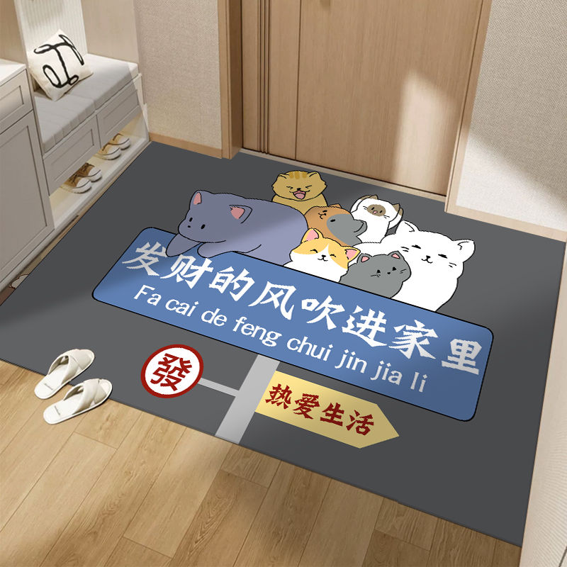 cartoon entrance door mat household entrance door mat water-absorbing quick-drying anti-slip door stain-resistant earth removing mat doormat