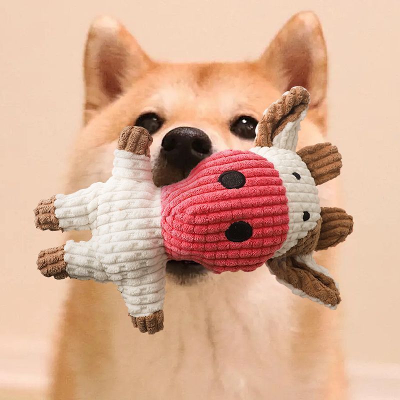 dog toy vocalization bite-resistant corgi relieving stuffy artifact medium-sized dog teddy puppy puppy molar pet cat supplies