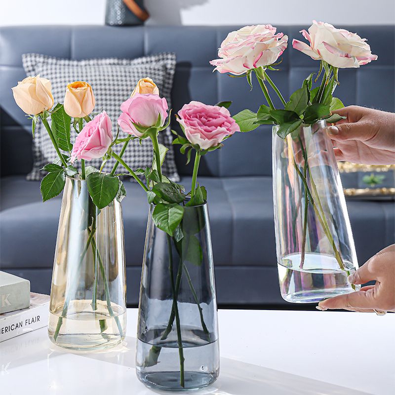 vase ins style good-looking living room decoration transparent glass vase flower arrangement water flower growing flower lily vase