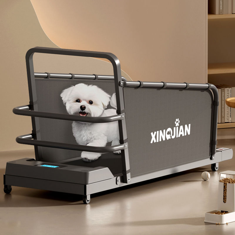 dog treadmill large， medium and small dogs  universal animal household sports training walking machine pet toy