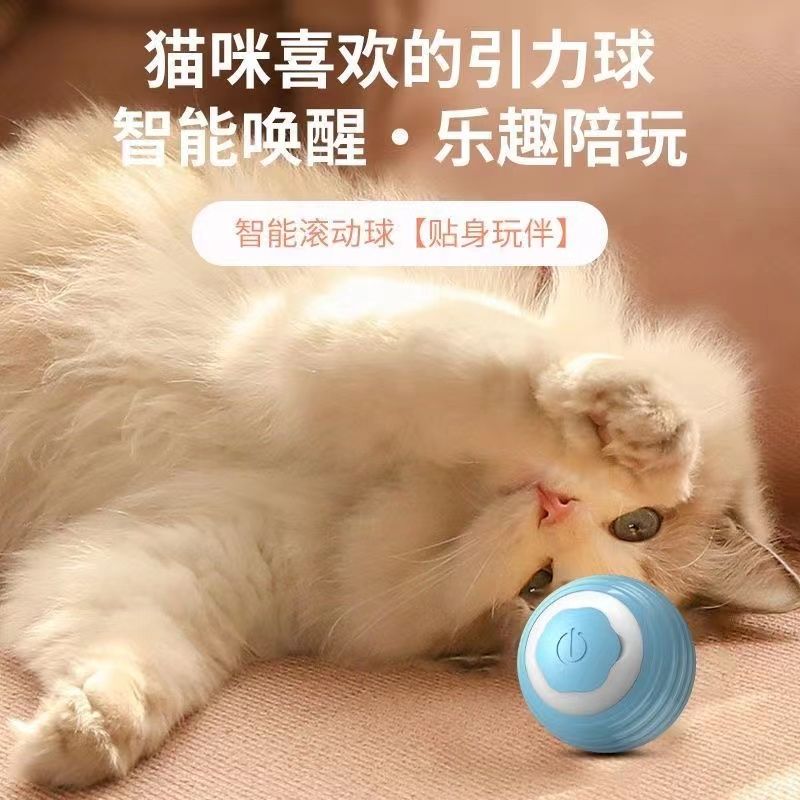 toy self-hi relieving stuffy  teaser kitten automatic  teasing ball electric  toy all products smart