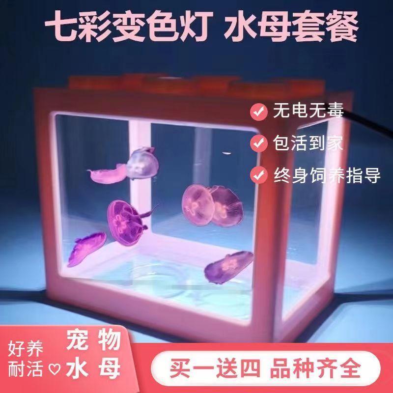 internet hot pet jellyfish living things non-electric desktop dormitory lazy special tank jellyfish live kit for the novice