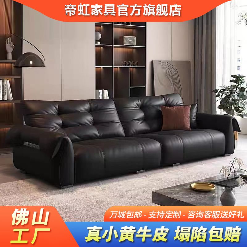 dihong italian minimalist swan sofa living room simple modern small apartment 2024 new first floor leather sofa