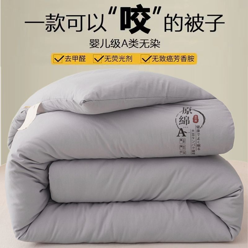 soybean fiber quilt quilt summer blanket warm thickened spring and autumn air conditioning student dormitory single person double four seasons universal