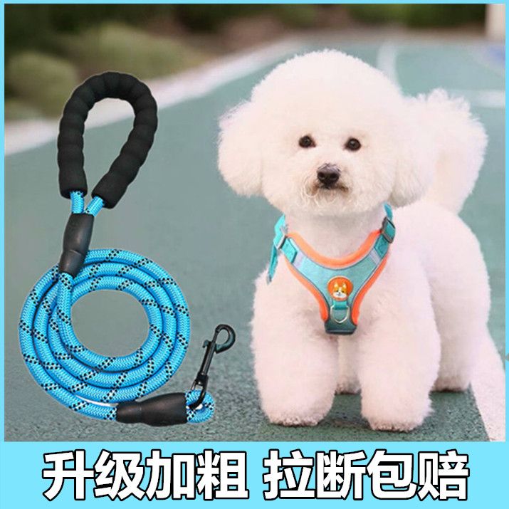 vest dog hand holding rope chest strap small and medium-sized dogs teddy/pomeranian pug dog puppy dog leash dog chain