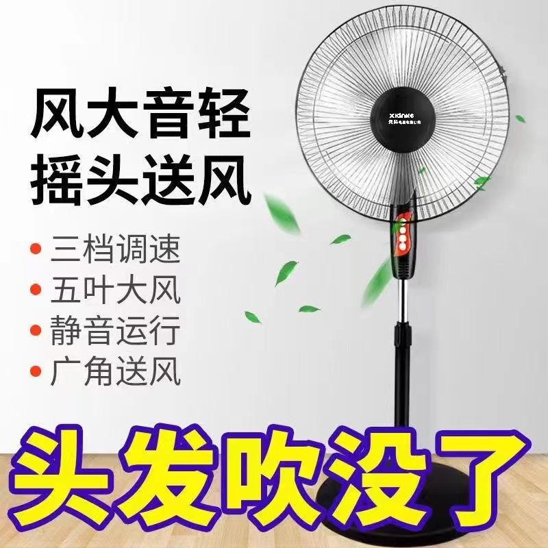 sast electric fan household floor-type desktop vertical fan ultra-quiet timing rge wind stand fan dormitory