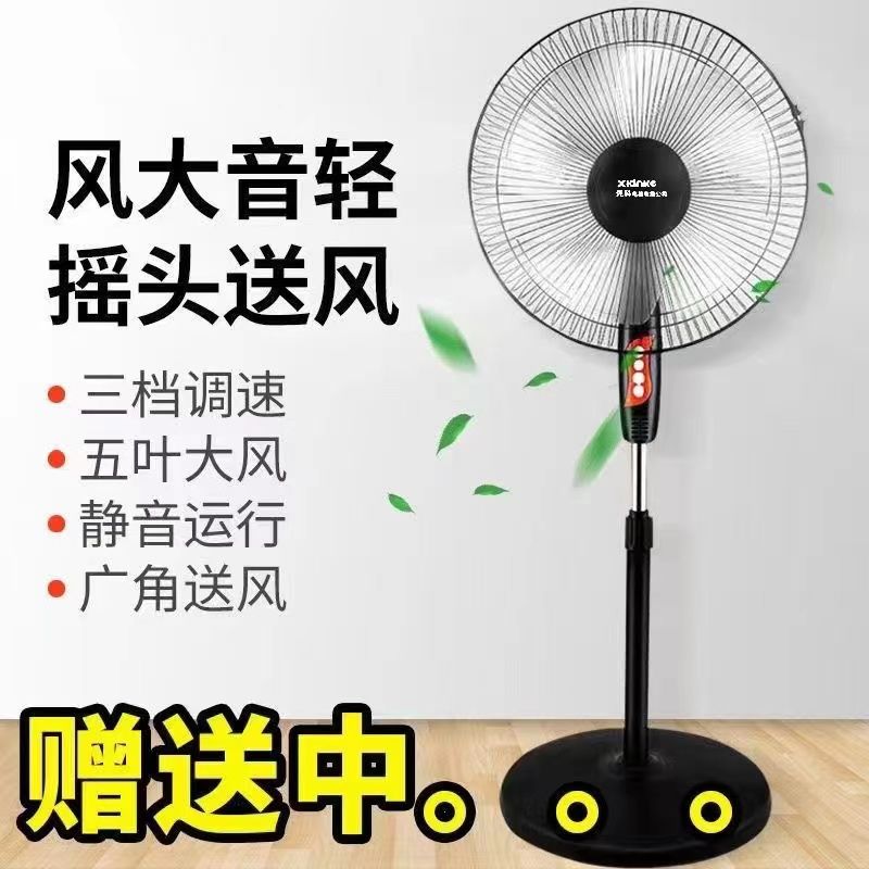 sast electric fan household floor-type desktop vertical fan ultra-quiet timing rge wind stand fan dormitory