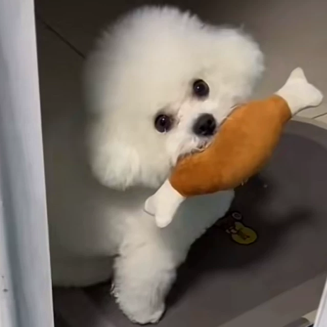 dog toy plush sound chicken leg simulation molar long lasting not rotten relieving stuffy puppy teddy bichon pet supplies