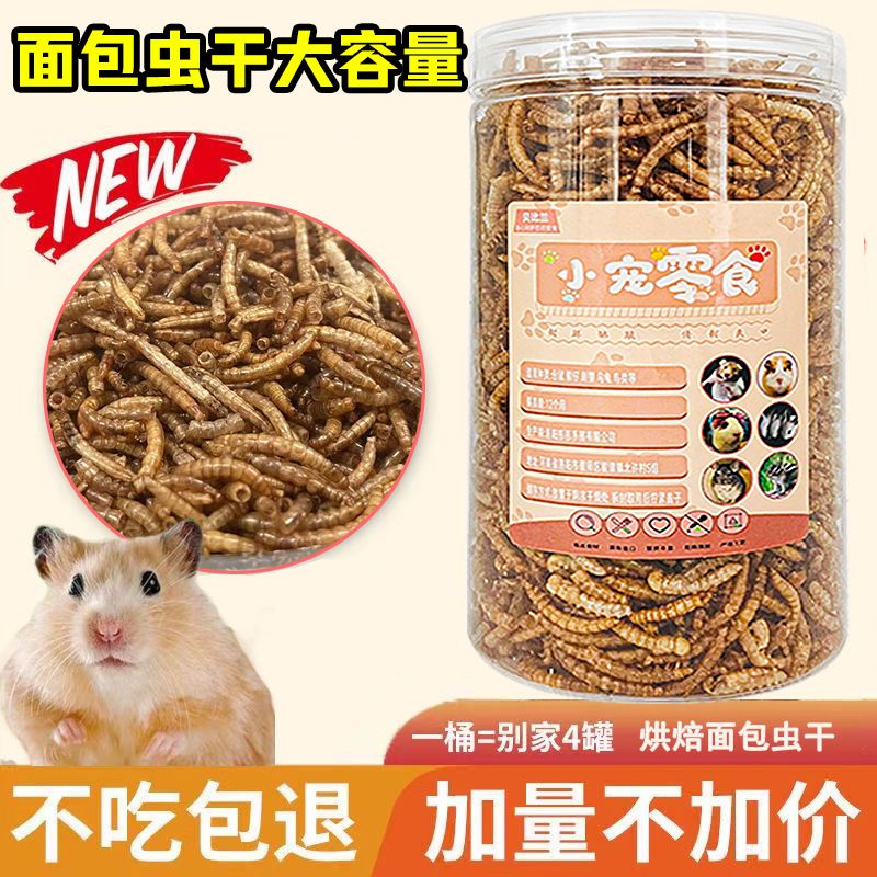 hamster food feed hedgehog hamster snacks mealworm dry tenebrio molitor turtle food supplies mealworm nutrition special