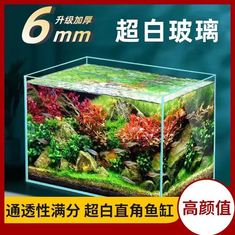 super white fish tank jinjing super white grass tank sea water aquarium landscape tank stream water plants turtle living room home aquarium fish tank