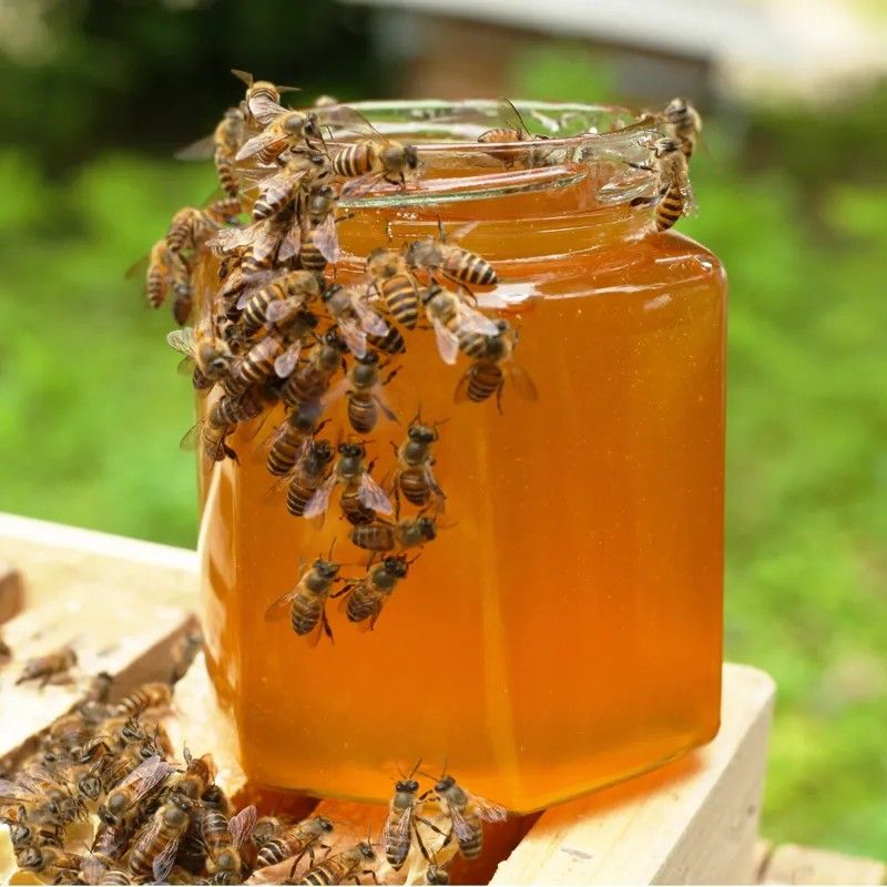 honey wild mature raw honey farm-produced acacia honey honey of various flowers pure natural authentic native honey without adding