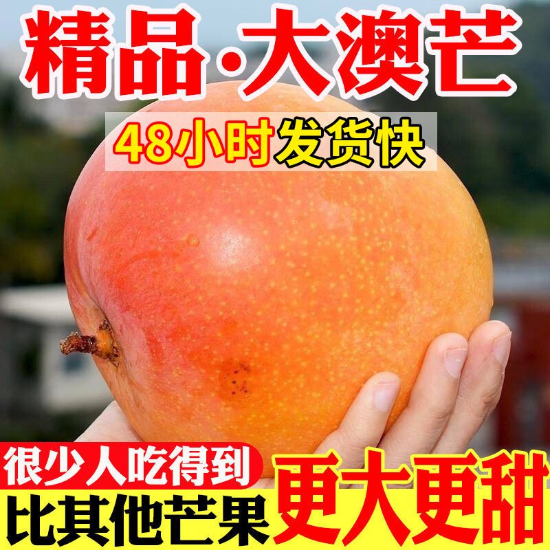 [sweet] yunnan apple mango rainbow australian mango seasonal fresh fruit extra large kate mango 5.00 kg wholesale