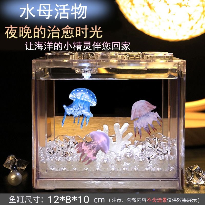 [package home] treasure small jellyfish alive safe non-toxic easy to keep primary school gift bedroom pet