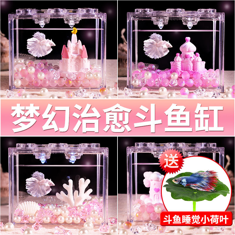 fish tank for douyu acrylic small desktop home creative ecology building block box landscaping decoration full set